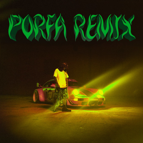 Feid & J. Balvin & Maluma & Nicky Jam & Sech & Justin Quiles - PORFA (Remix)