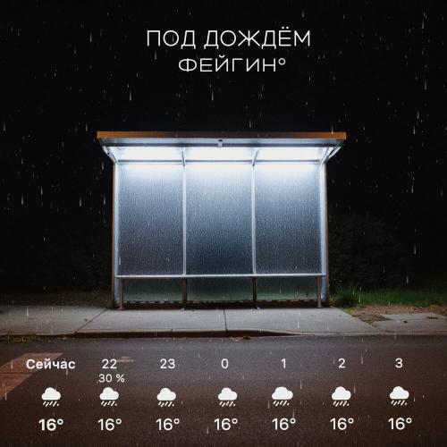 Под дождём - Фейгин