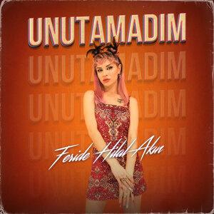 Unutamadım - Feride Hilal Akın