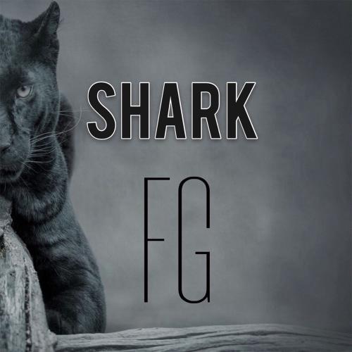 Fg - Ay Parçası