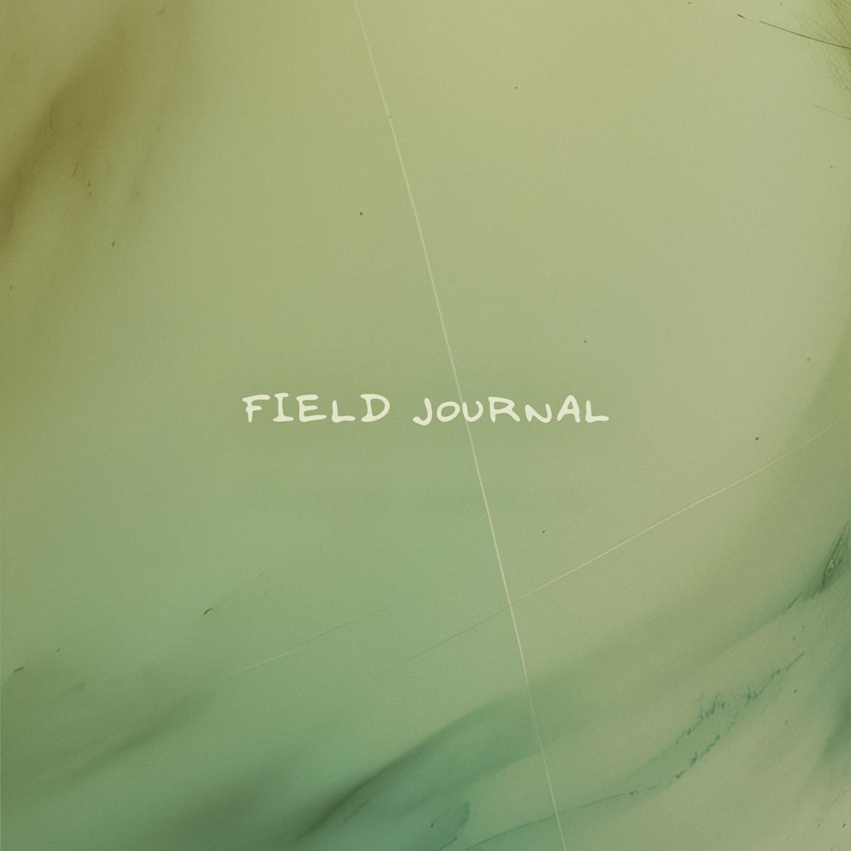 Flint (Thundestorm) - Field Journal
