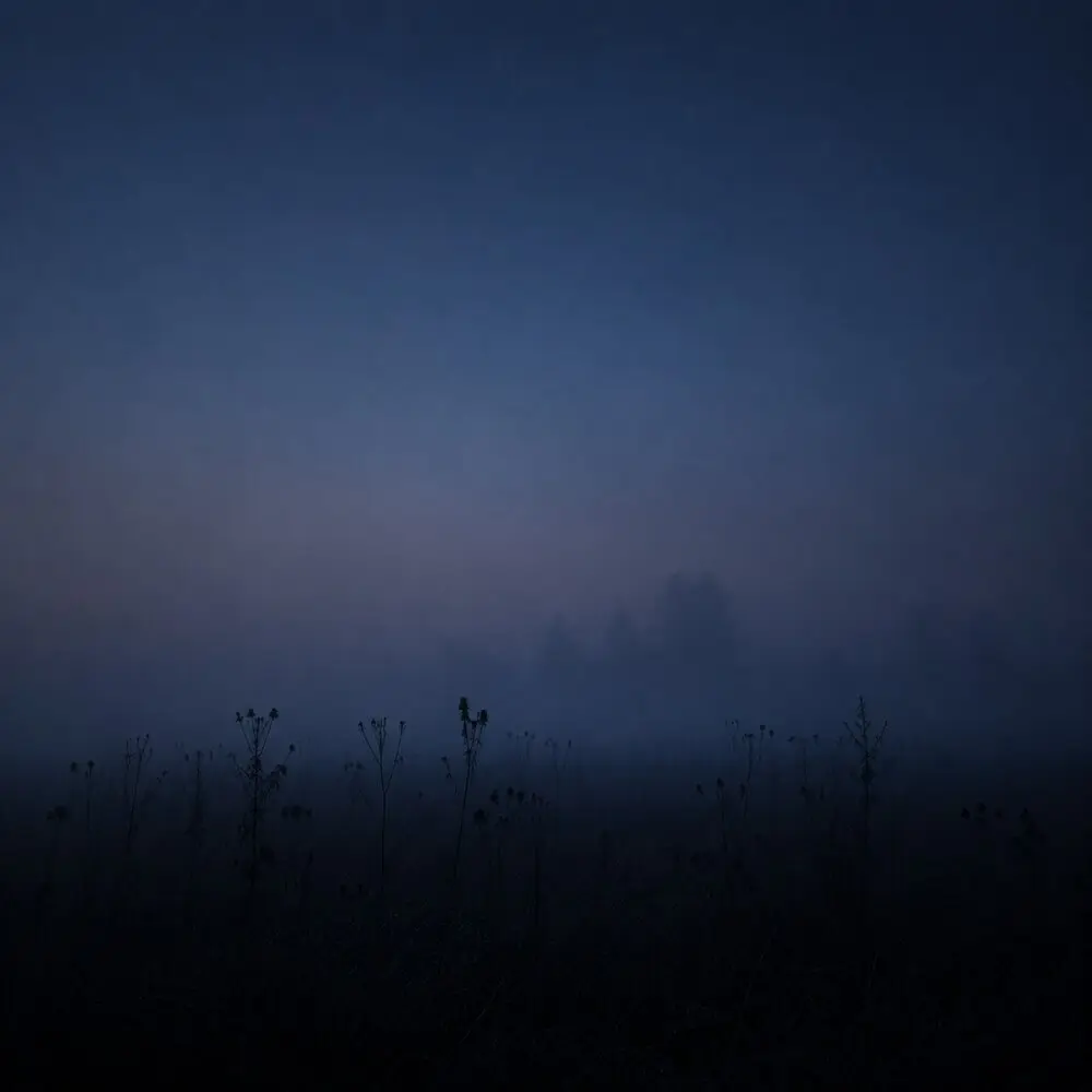 distant - fill