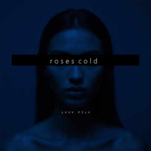 FILV & LUXX - Roses Cold