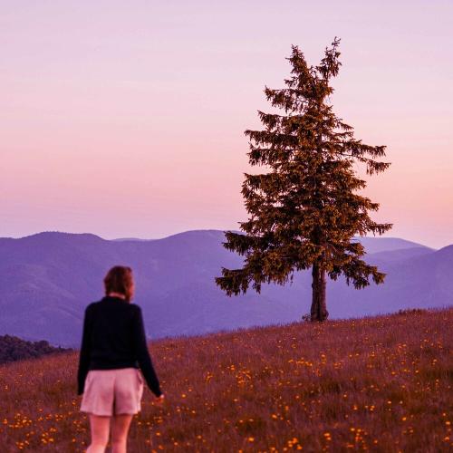 FIREMVN, BAIKVL, !KNOW - LITTLE DREAM