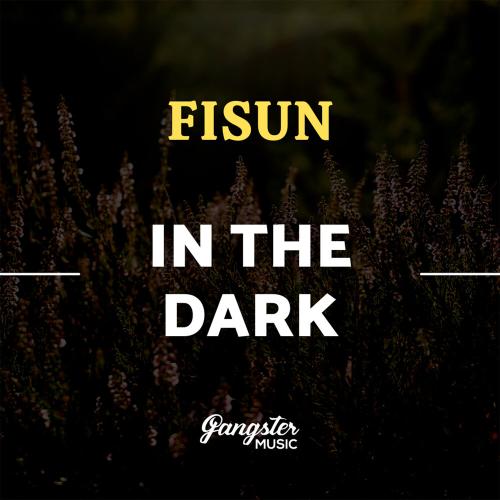 In the Dark - Fisun