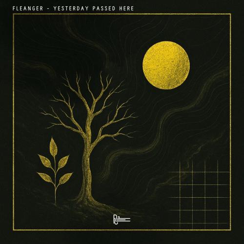 Yesterday Passed Here - Fleanger