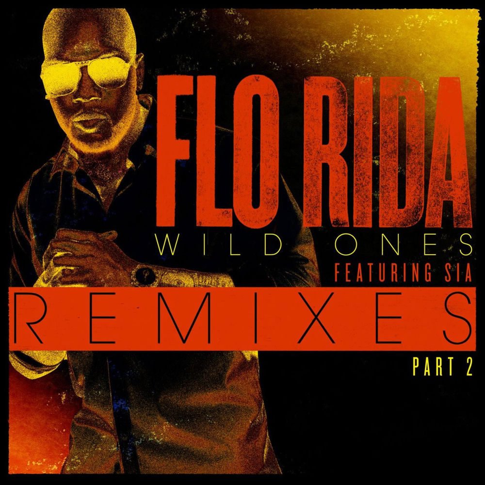 Wild Ones (J.o.b Rock Rework) - Flo Rida feat. Sia, Guy Scheiman & J.O.B.