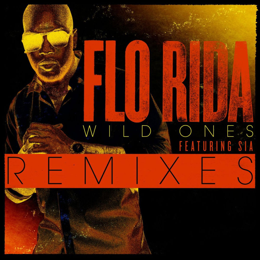 Wild Ones (Project 46 Remix) - Flo Rida feat. Sia & Project 46