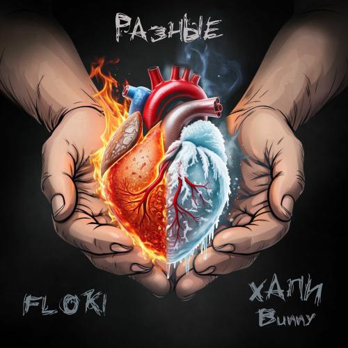 Floki & ХАПИ Bunny - Разные