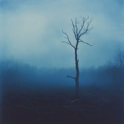 Flwsh, dxstroyed - Shattered Dreams
