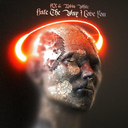 FLX & Robin White - Hate The Way I Love You