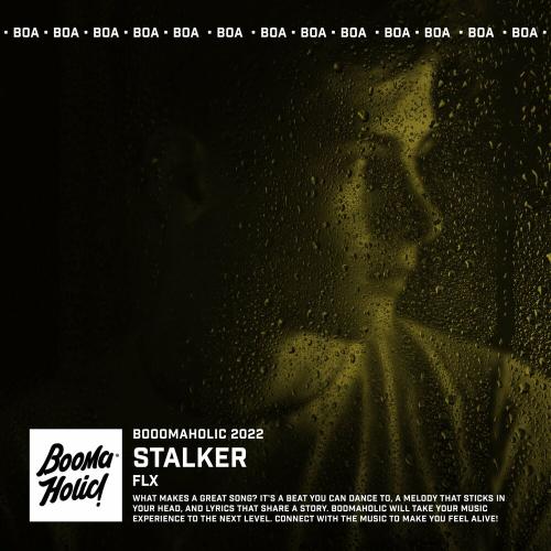 FLX - Stalker
