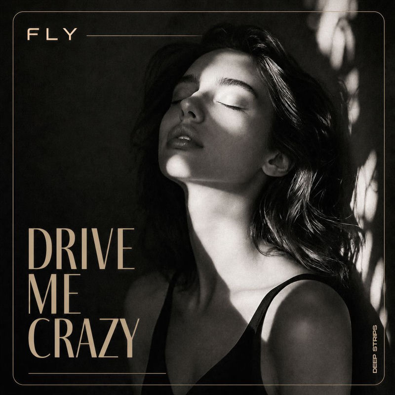 Drive Me Crazy - FLY