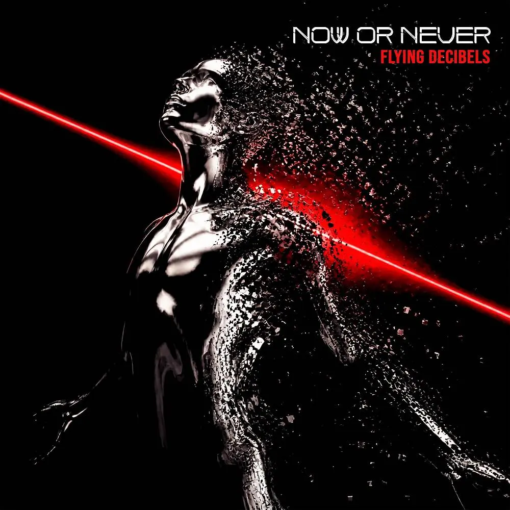 Now or Never - Flying Decibels