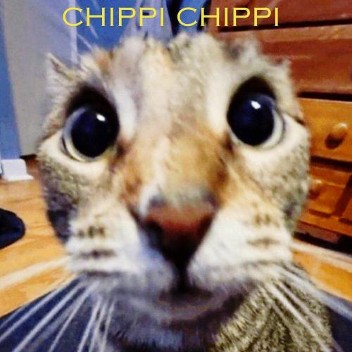 FlyPhonX - Chippi Chippi Chappa Chappa