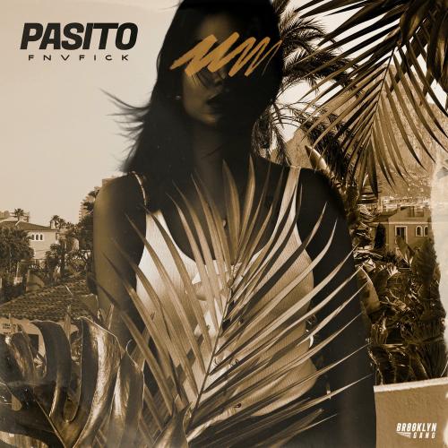 FNVFICK - Pasito