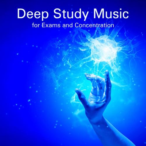 Focus Brain - Musicroom