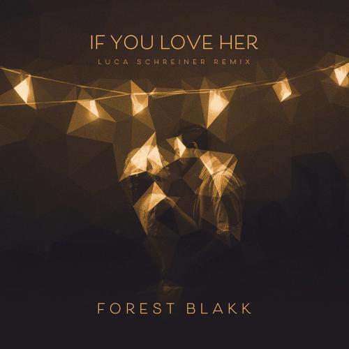 Forest Blakk - If You Love Her (Luca Schreiner Remix)