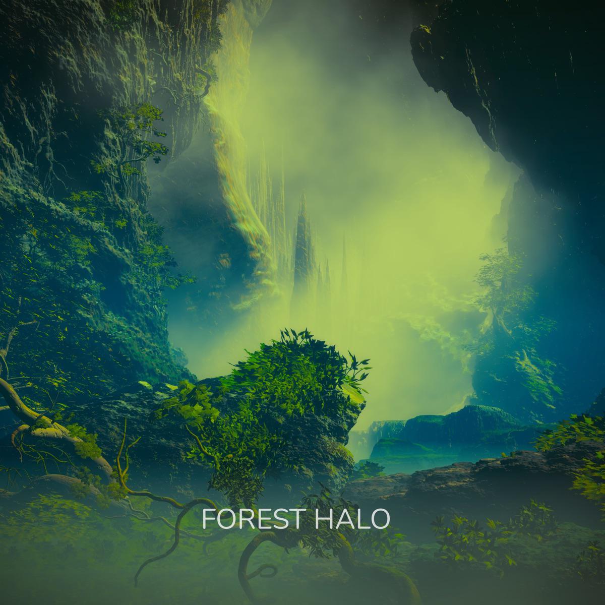 Healing Movement (Spa) - Forest Halo