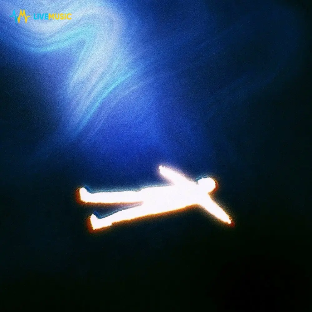 the night you disappeared - foreveralone