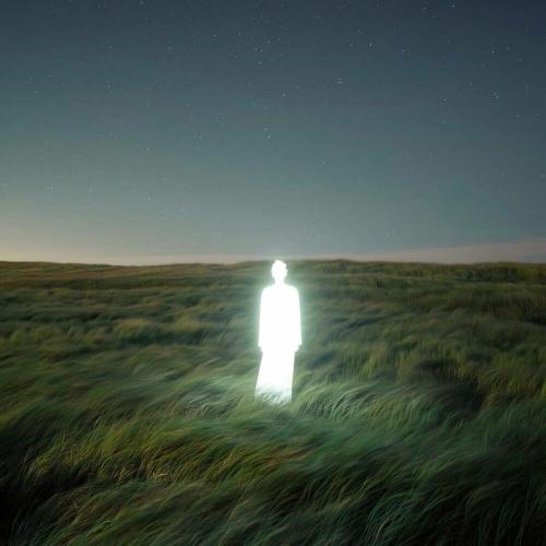 Fortxna - Loss