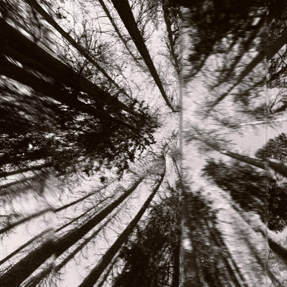 Ritual - Four eye
