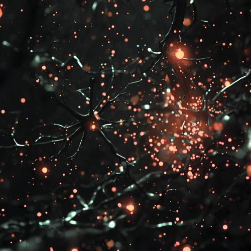 FOXYOFF - im toxic