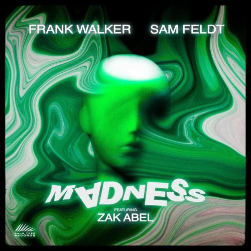 Madness - Frank Walker & Sam Feldt feat. Zak Abel