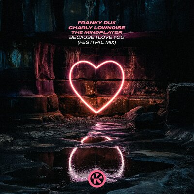 Because I Love You Festival Mix - Franky Dux, Charly Lownosie, the mindplayer
