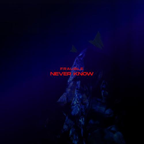 Frauble - Never Know
