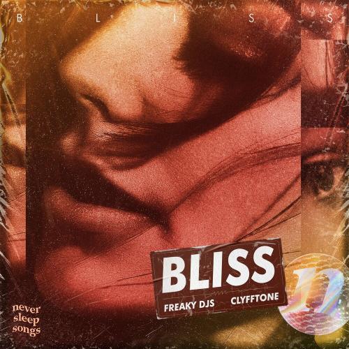 Freaky DJs feat. Clyfftone & Neversleepsongs - Bliss