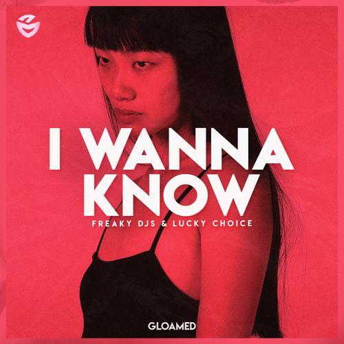 I Wanna Know - Freaky DJs & Lucky Choice