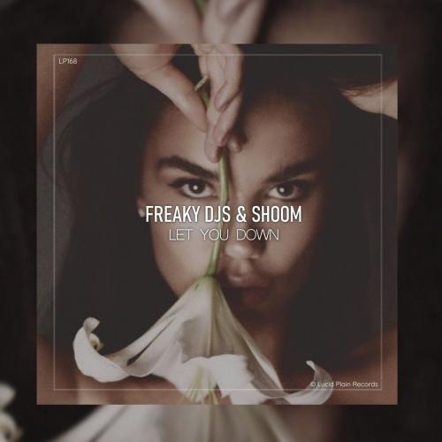 Freaky DJs & Shoom - Let You Down