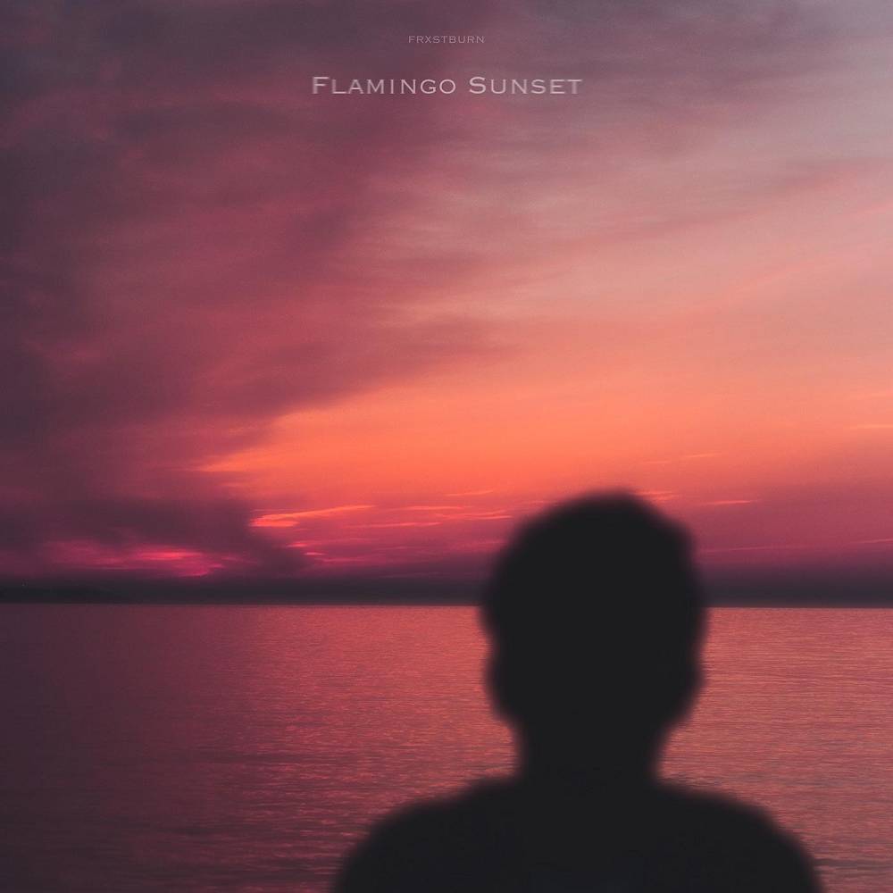 Flamingo Sunset - FRXSTBURN
