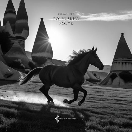 Furkan Sert - Polyuskha Polye