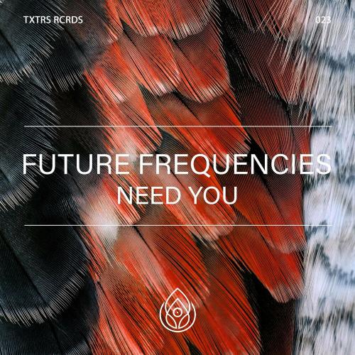 Future Frequencies - Need You