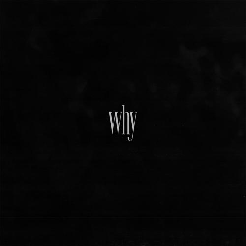 G3nochek - why