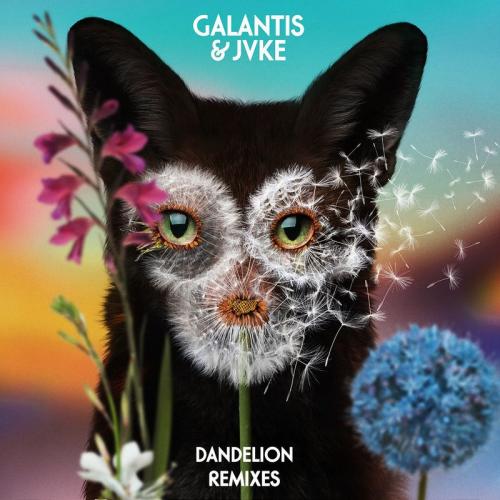 Galantis feat. Jvke - Dandelion (Pandapush Remix)