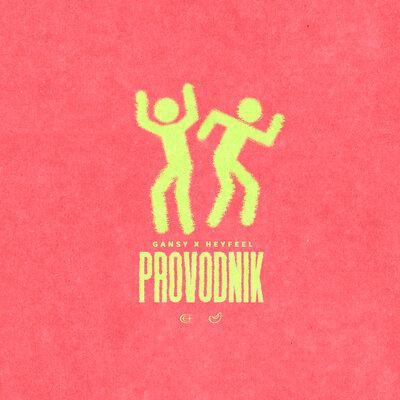 Gansy & HEYFEEL - PROVODNIK