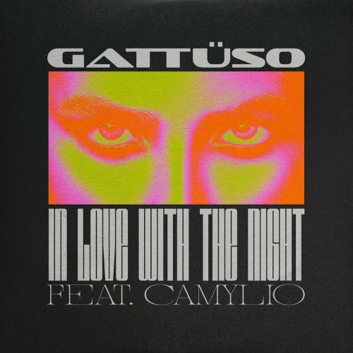 Gattüso & Camylio - In Love With The Night