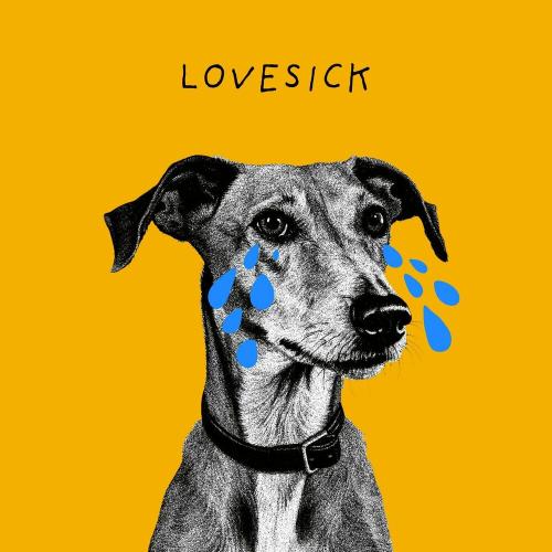 Gavin James - Lovesick