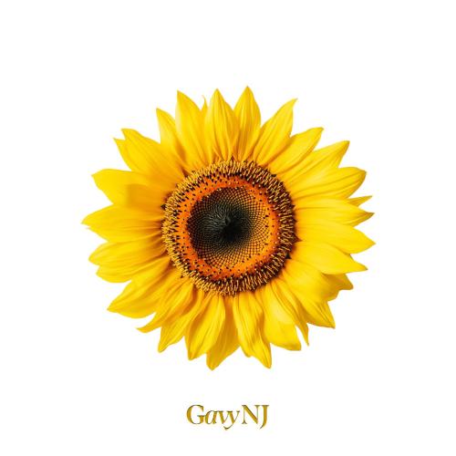 gavy nj - Sunflower (2026) (Instrumental)