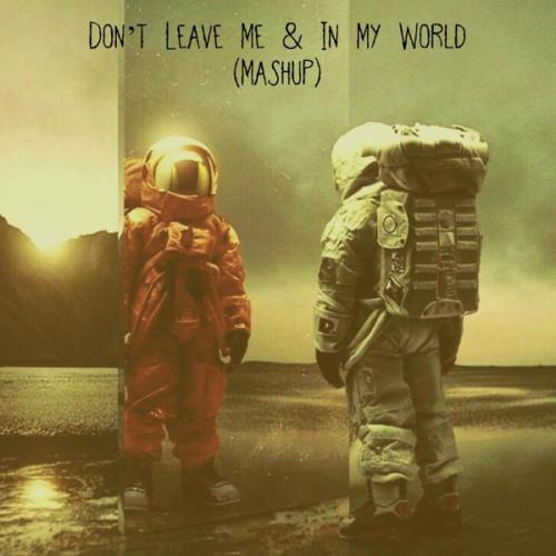 George Kopaliani & Giga Papaskiri - Don’t Leave Me & In My World (Mashup)