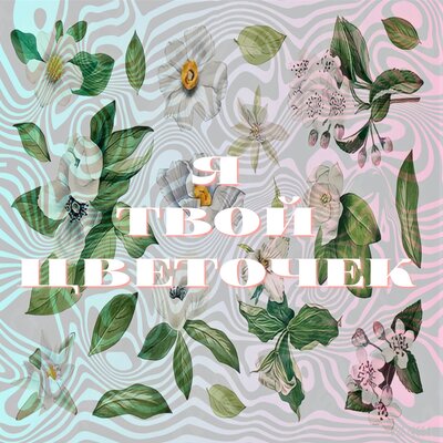 Я твой цветочек - Gera, София Стеценко