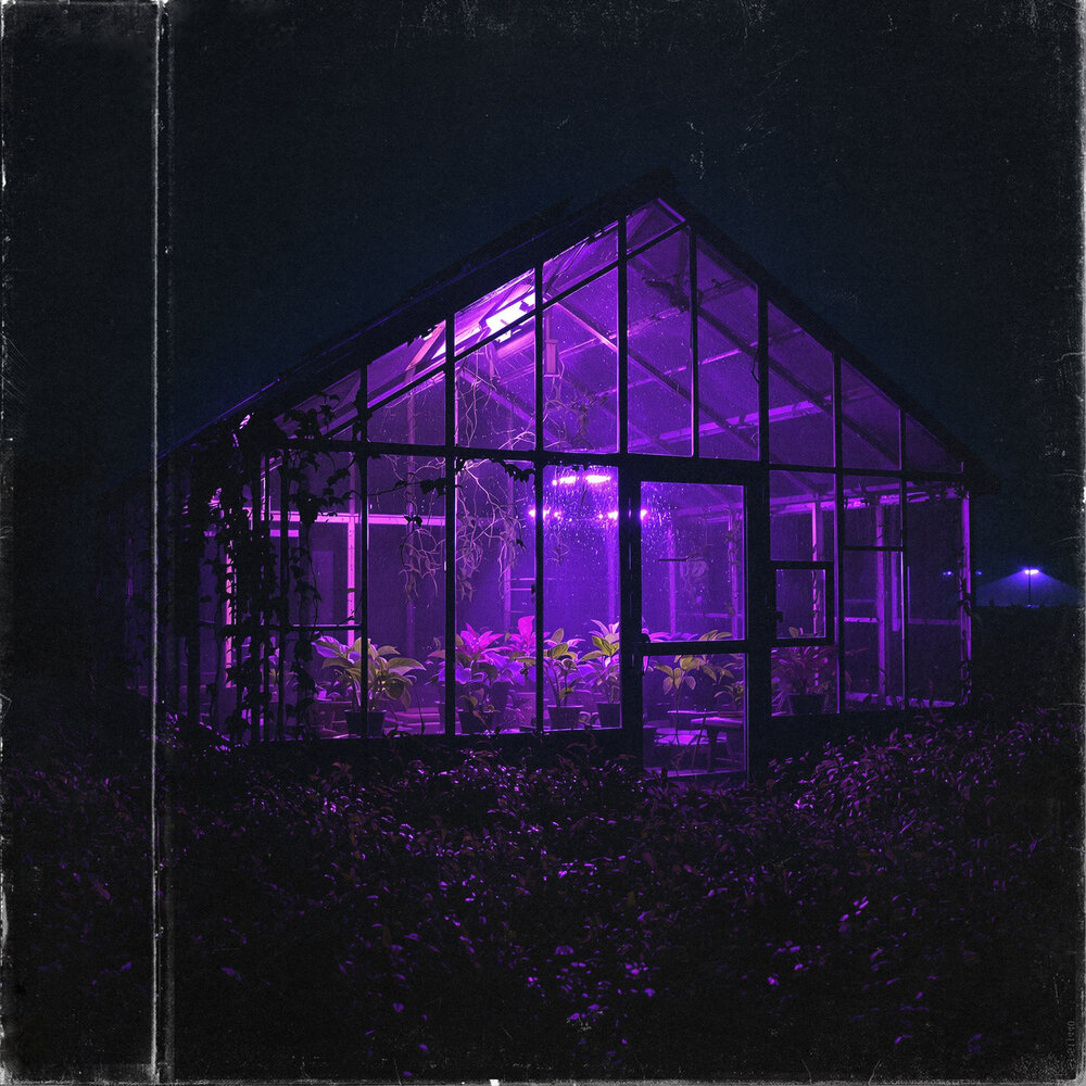 Sad story - gikøpo