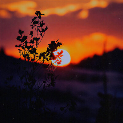 gikøpo - We will meet soon