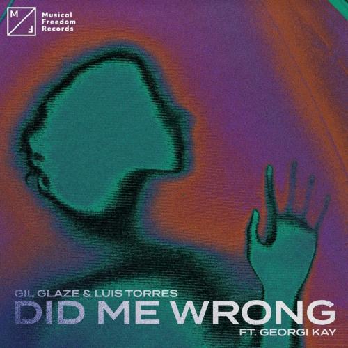 Gil Glaze & Luis Torres feat. Georgi Kay - Did Me Wrong
