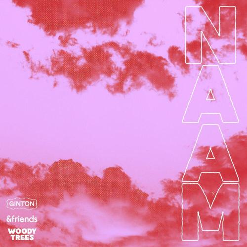 Ginton, &Friends - Naam
