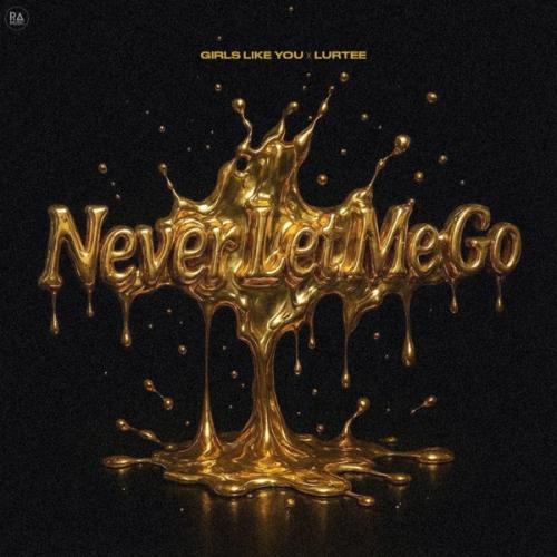 Girls Like You & Lurtee - Never Let Me Go