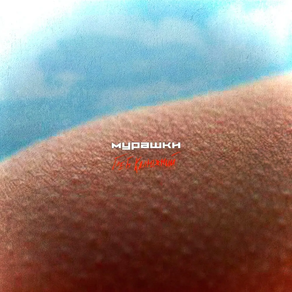 МУРАШКИ - Глеб Калюжный, SHAKH